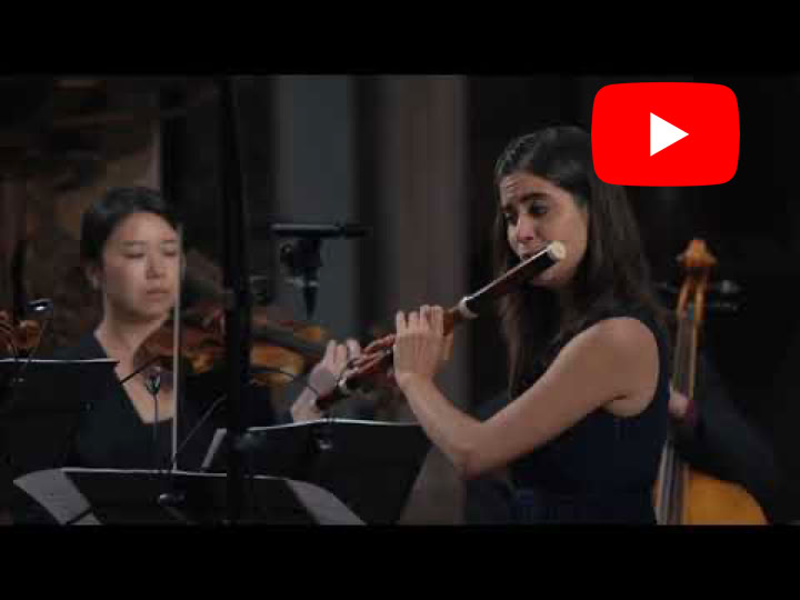 Video Video abspielen